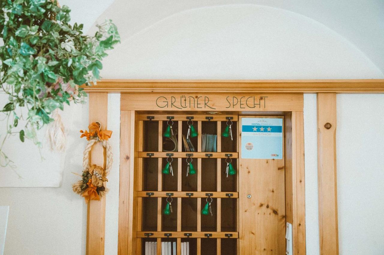 Gasthof Zum Gruenen Specht Oberzeiring 외부 사진
