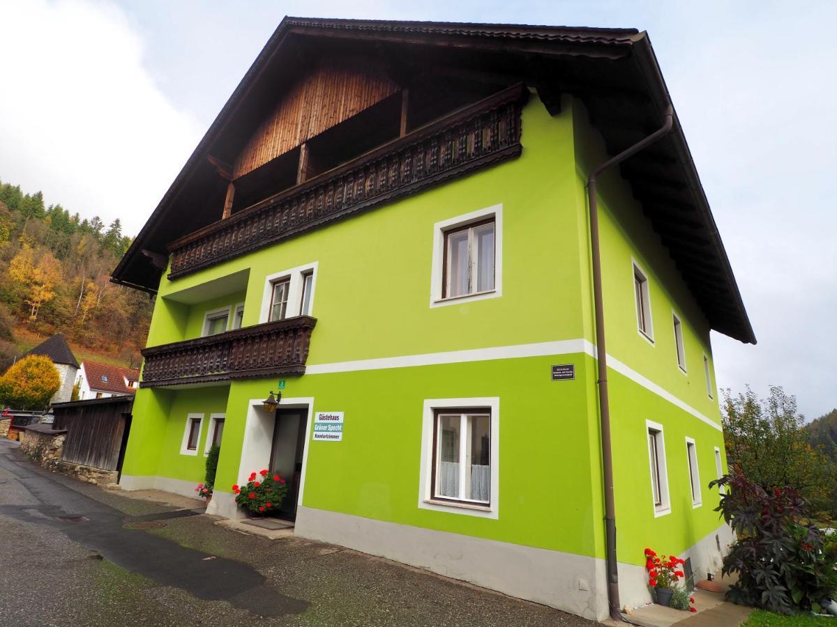 Gasthof Zum Gruenen Specht Oberzeiring 외부 사진